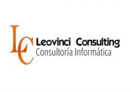 Leovinci Consulting