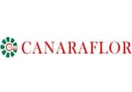 CANARAFLOR