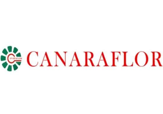 CANARAFLOR