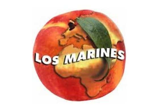LOS MARINES