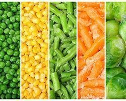 Creación de Empresas agrícolas