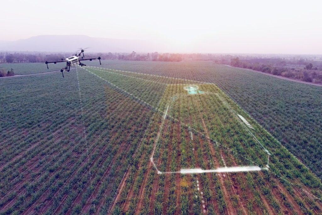 Sector agroalimentario: Automatización de facturas y pagos con ERP